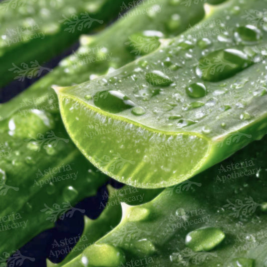 Aloe Vera Water Soluble Extract