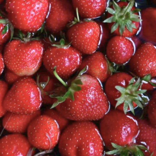 STRAWBERRY LIP FLAVOR OIL