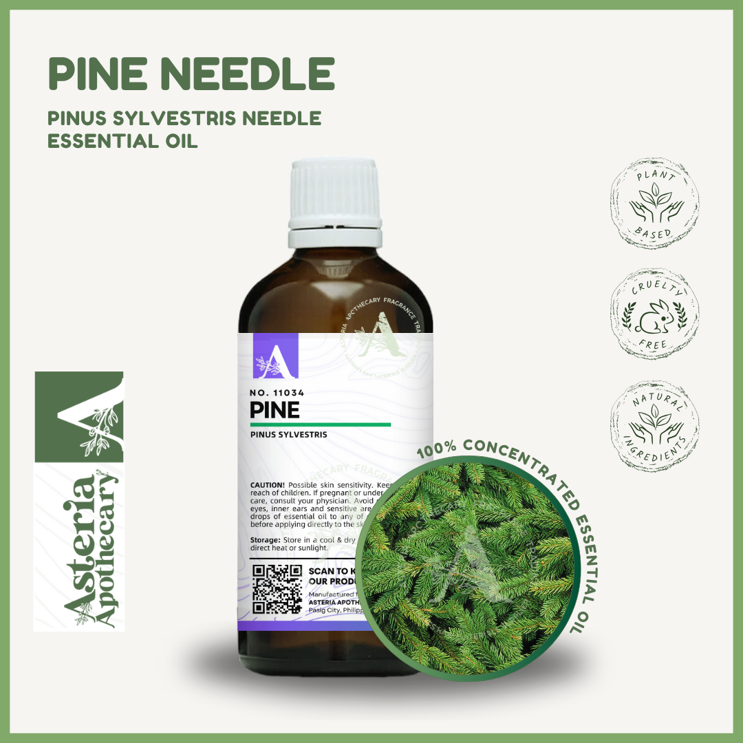 Pine Needle Essential Oil