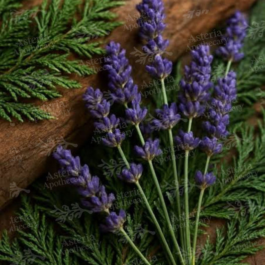 CEDAR LAVENDER FRAGRANCE OIL