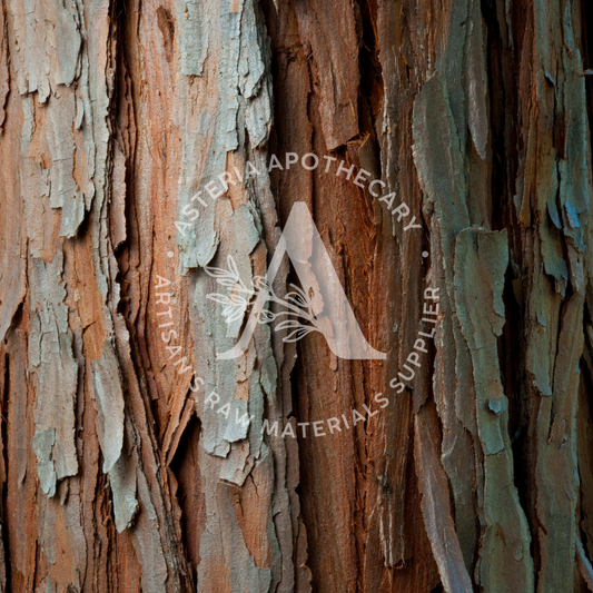 Cedarwood Essential Oil