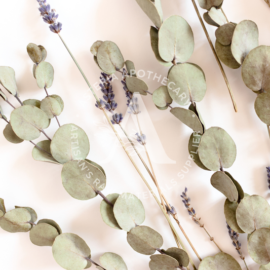 Eucalyptus & Lavender Fragrance Oil