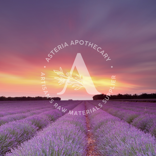 French Lavender Fragrance Oil