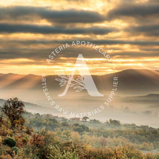 Rayo Del Sol Fragrance Oil