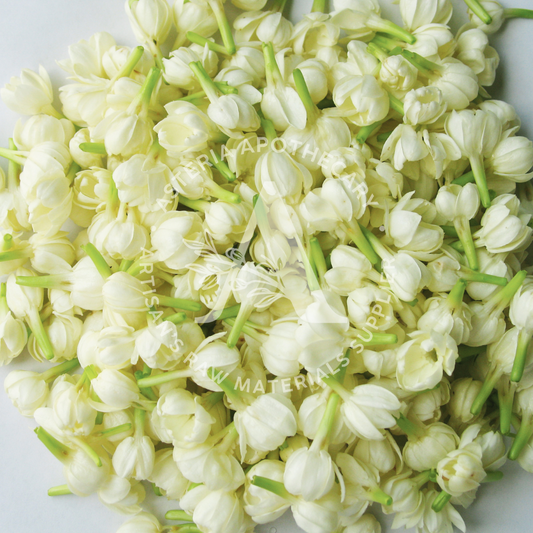 Sampaguita Fragrance Oil