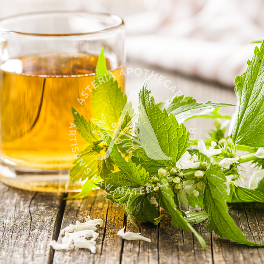 White Tea & Ginger Fragrance Oil