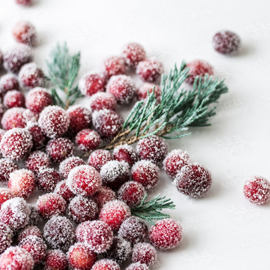 FROSTED CRANBERRY FRAGRANCE OIL