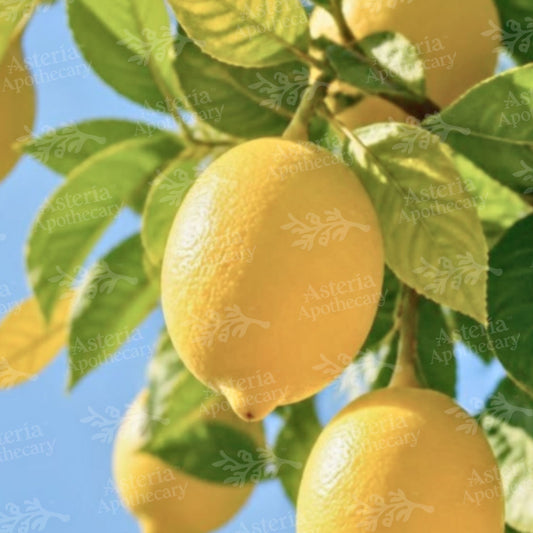 LEMON ESSENTIAL OIL | COLDPRESSED