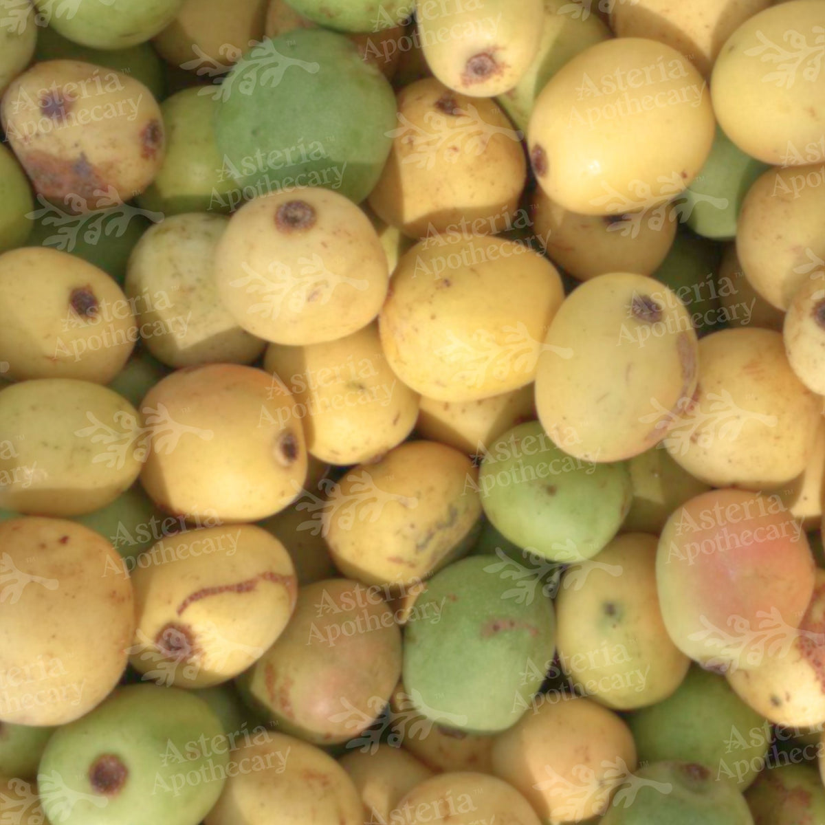 MARULA SEED OIL