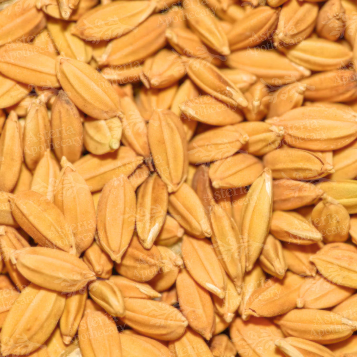 RICE BRAN OIL