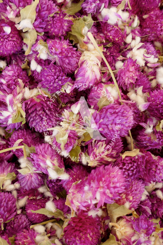 Purple Globe Amaranth Loose Tea