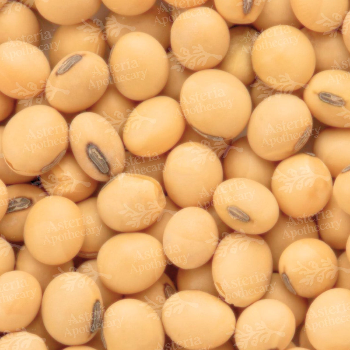 SOYBEAN OIL