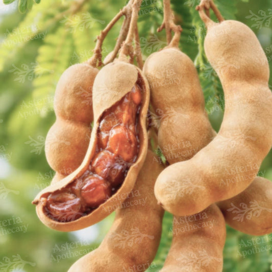 TAMARIND SEED OIL | REFINED