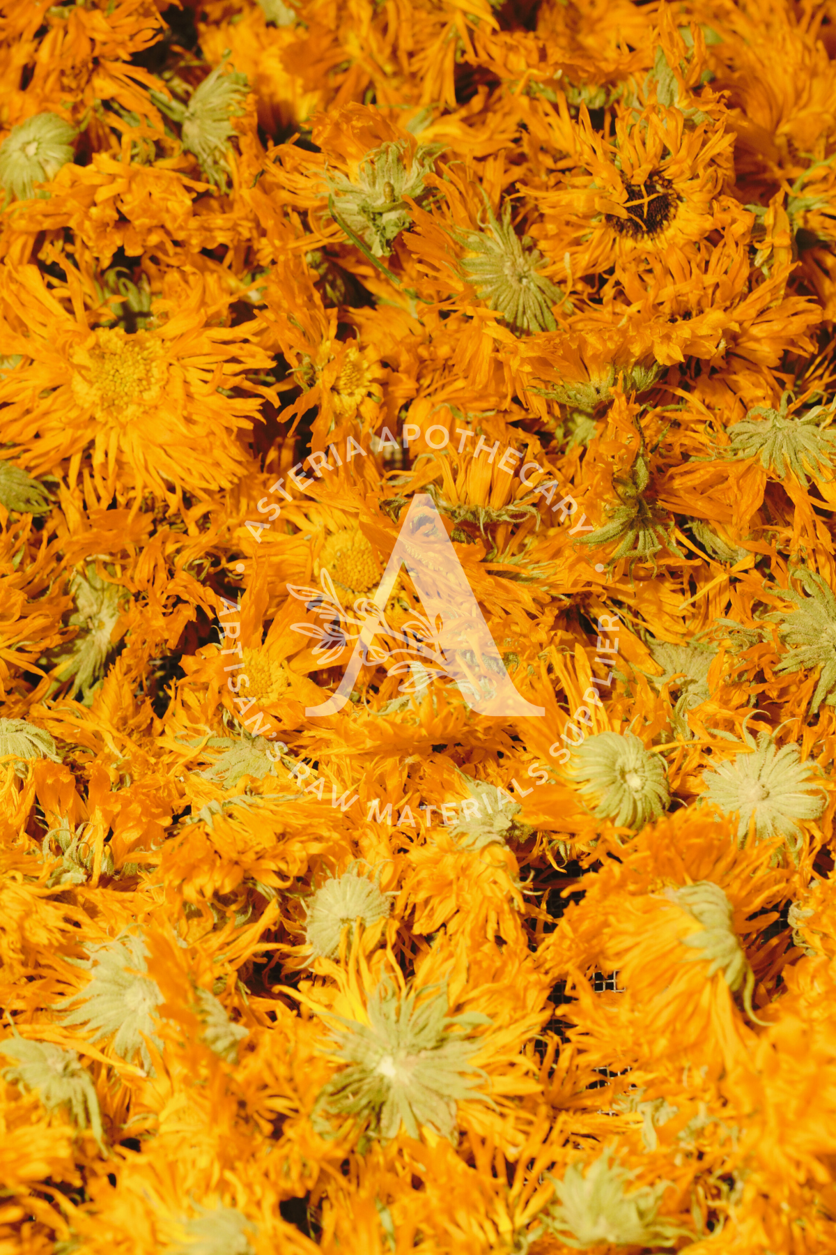 Calendula Loose Tea