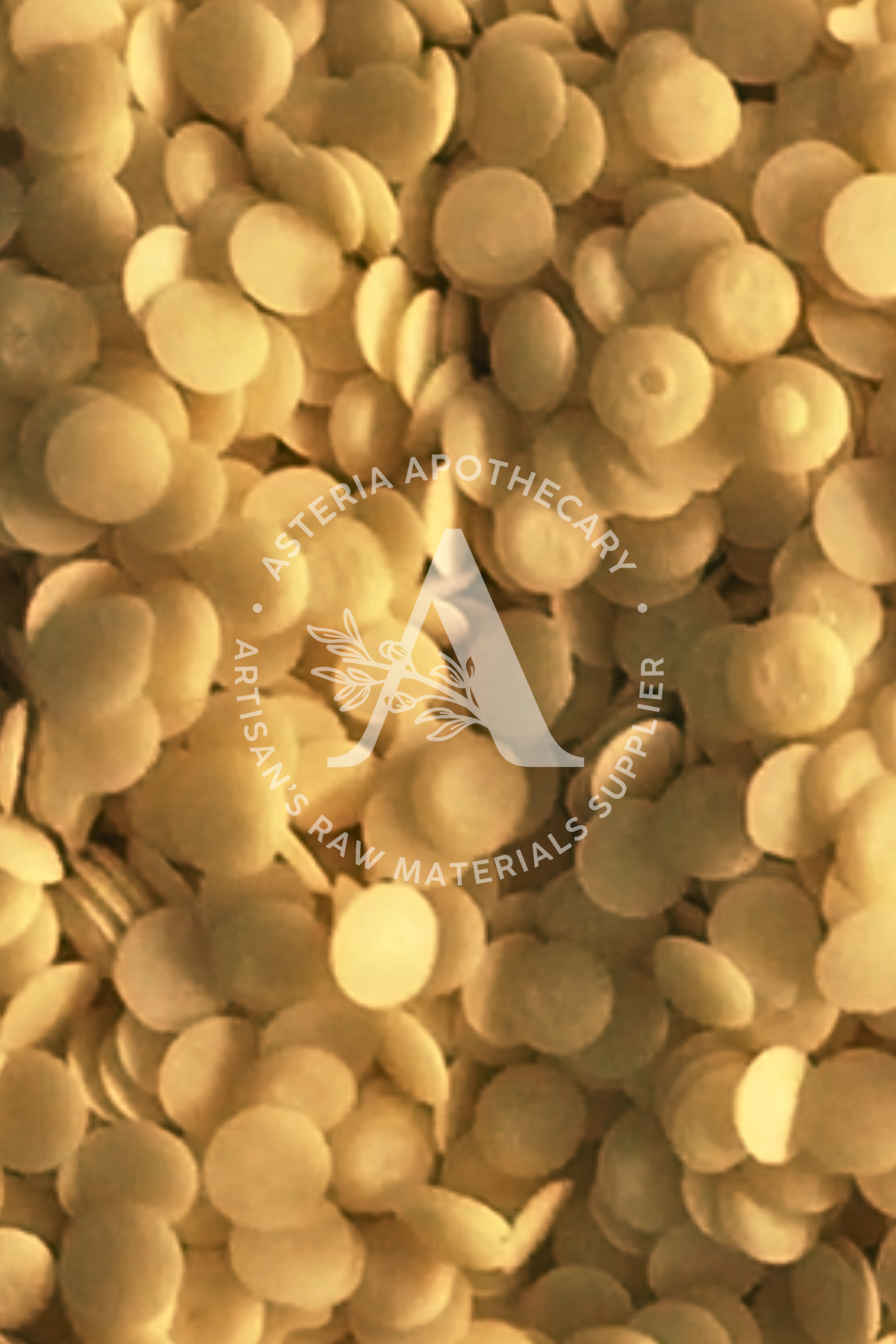 Carnauba Wax