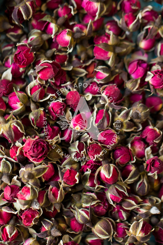 Golden Edge Rose Loose Tea