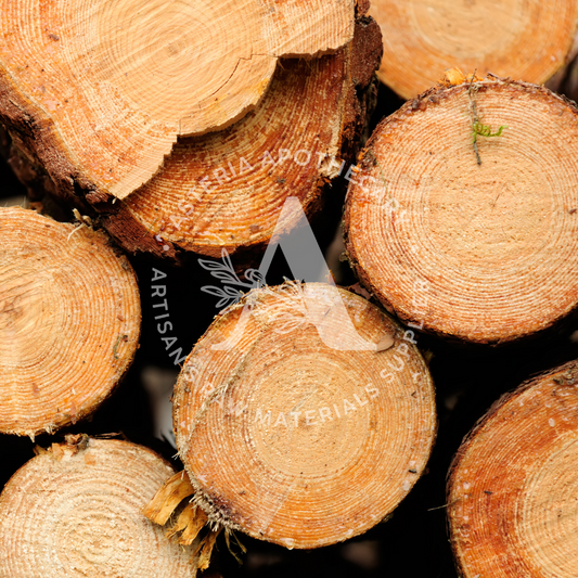 Cedarwood Blanc Fragrance Oil