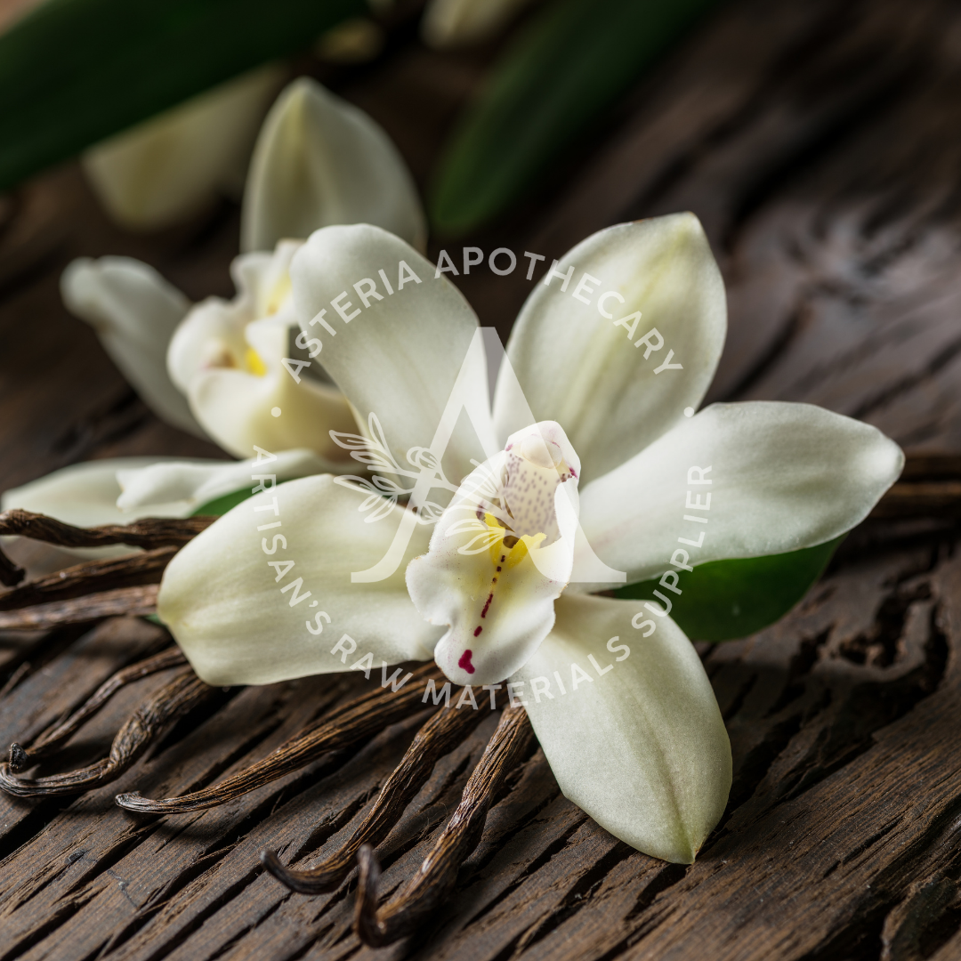 Vanilla Bean Fragrance Oil
