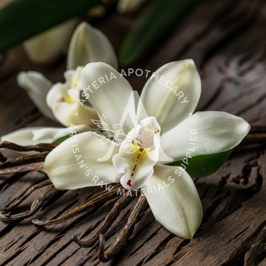 Vanilla Bean Fragrance Oil