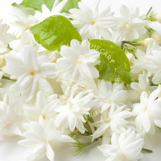 Jasmine Flower Fragrance Oil