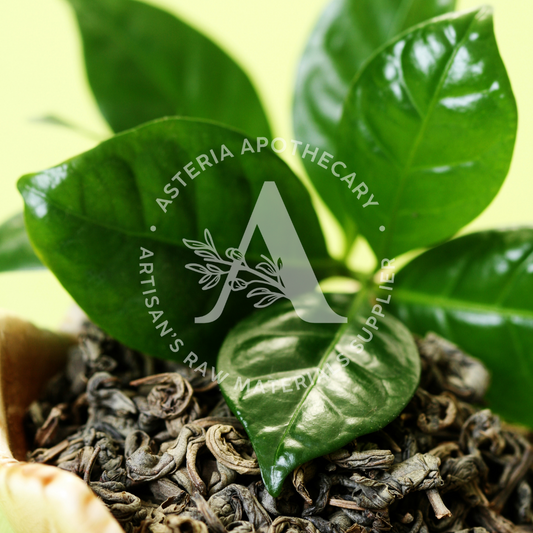 Green Tea Fragrance Oil