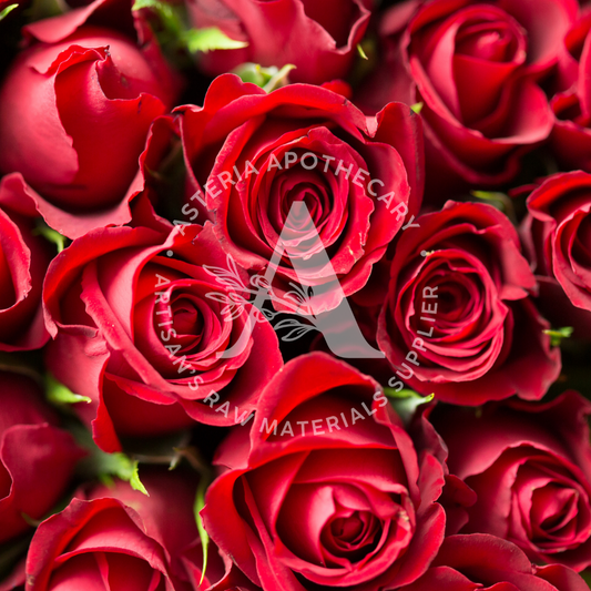 Red Roses Fragrance Oil