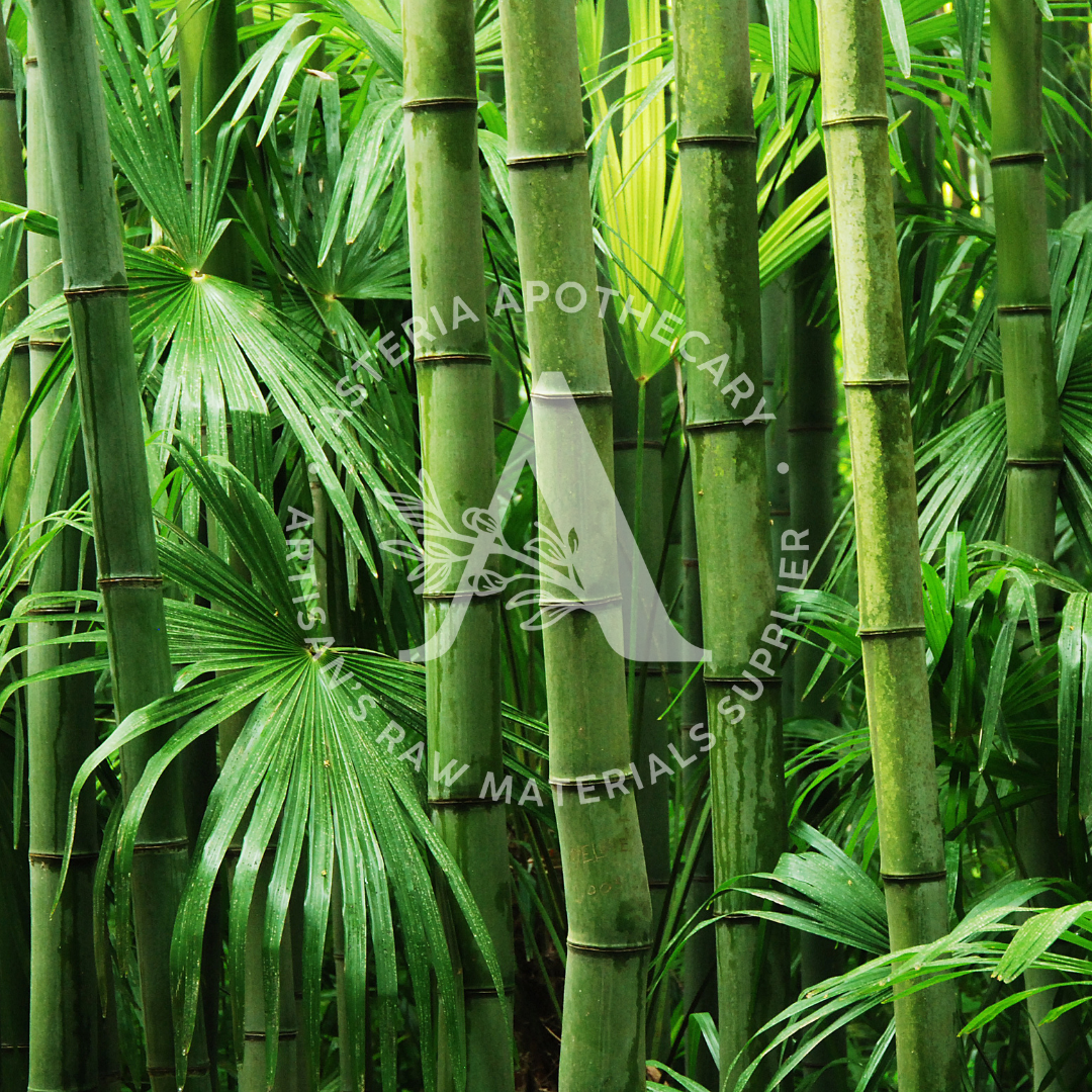 Bamboo & Musk Fragrance Oil