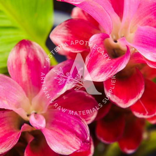 Ginger Flower Fragrance Oil