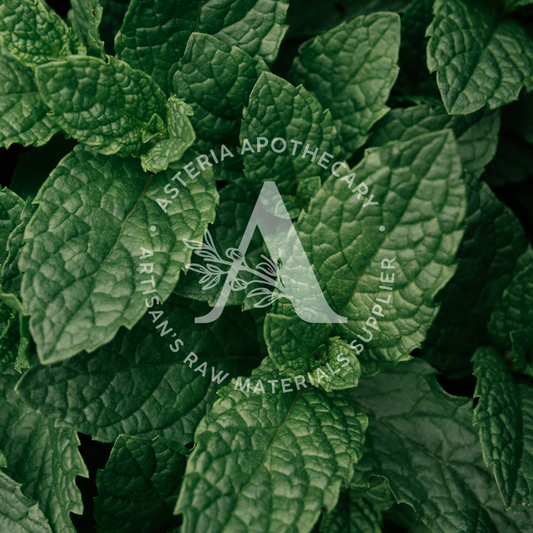 Peppermint Essential Oil