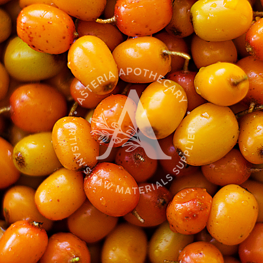 Seabuckthorn Berry Oil
