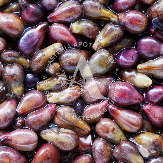 Grape Seed Oil, Unrefined