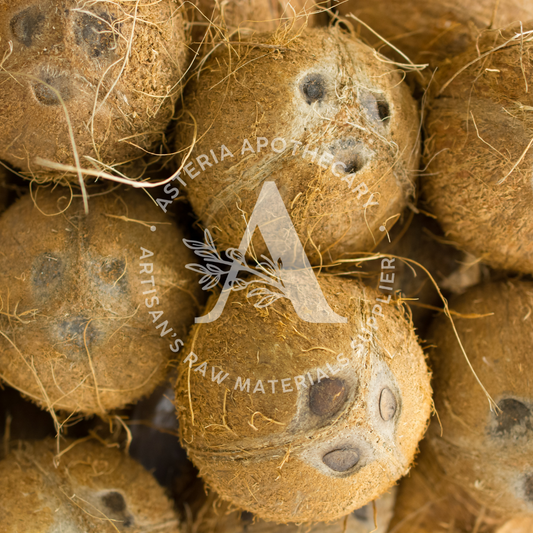 Fractionated Coconut Oil (MCT Oil)