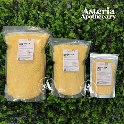 Candelilla Wax