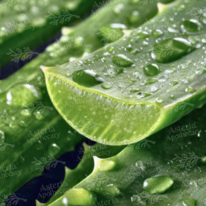 Aloe Vera Water Soluble Extract