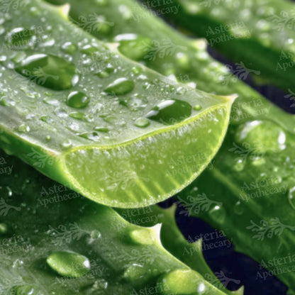 Aloe Vera Oil Soluble Extract