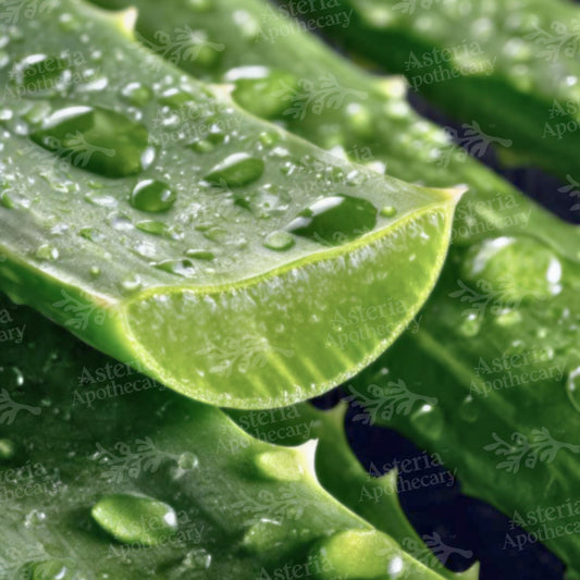 Aloe Vera Oil Soluble Extract