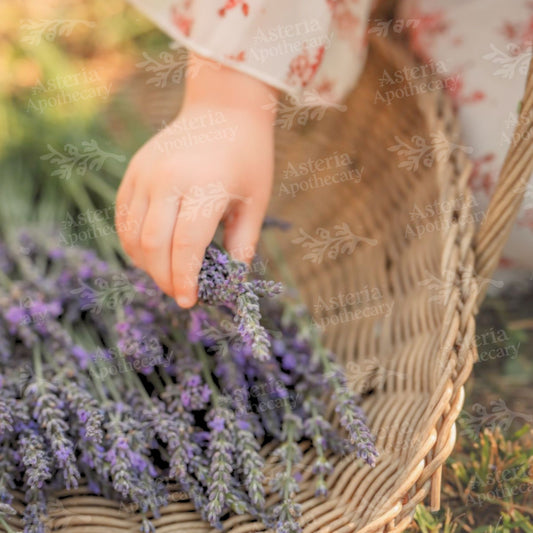 BABY LAVENDER FRAGRANCE OIL