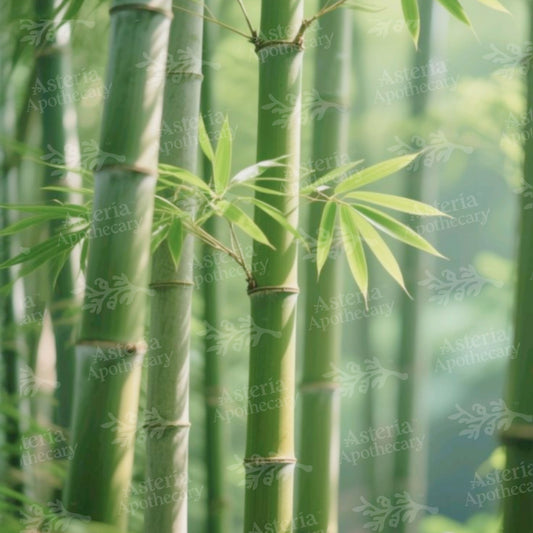 BAMBOO MUSK FRAGRANCE OIL