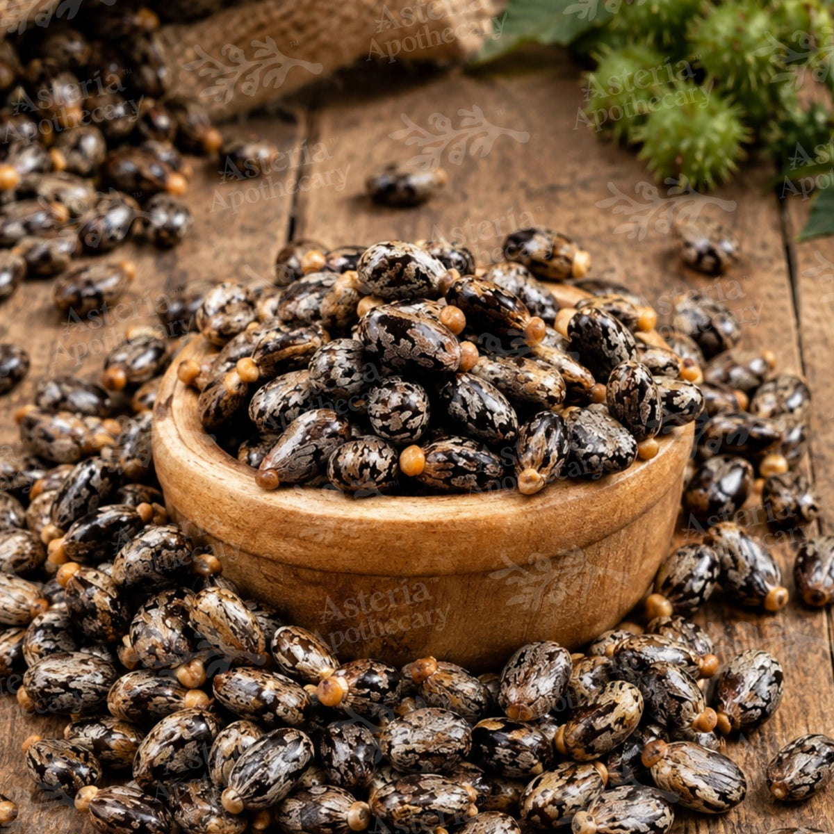 BLACK CASTOR SEED OIL