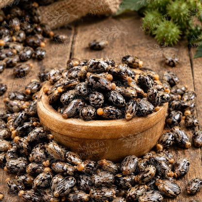 BLACK CASTOR SEED OIL