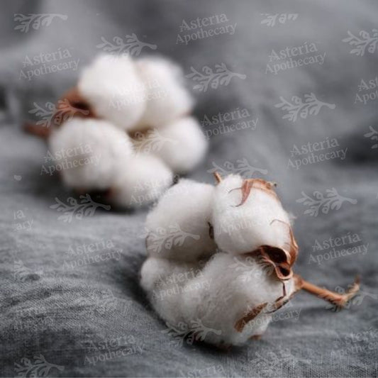 CLEAN COTTON FRAGRANCE OIL