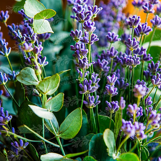 EUCALYPTUS LAVENDER FRAGRANCE OIL