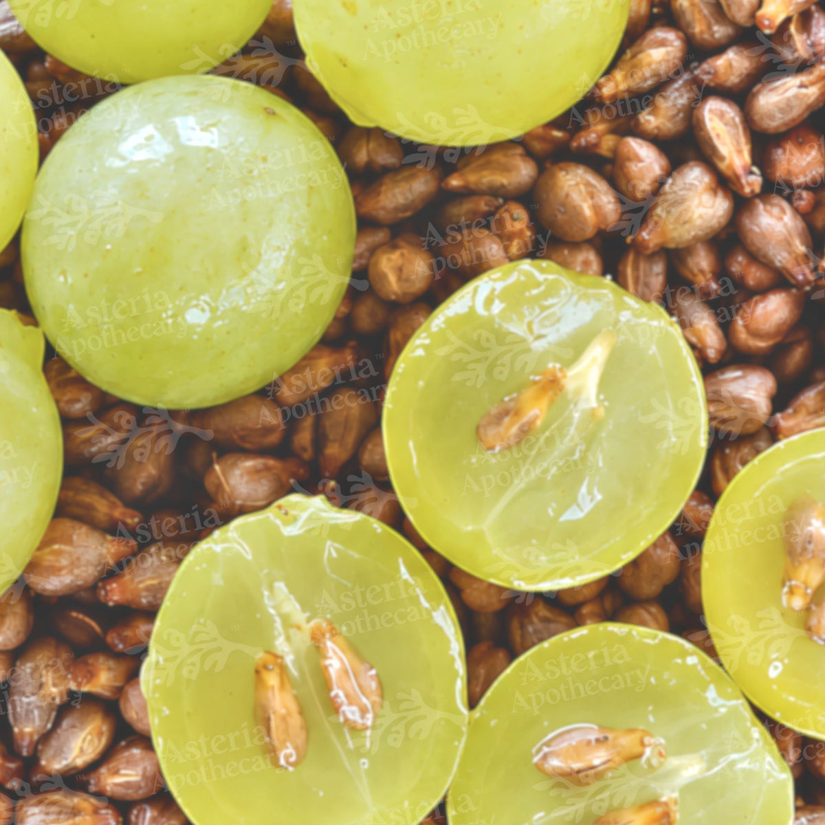 GRAPE SEED OIL | REFINED