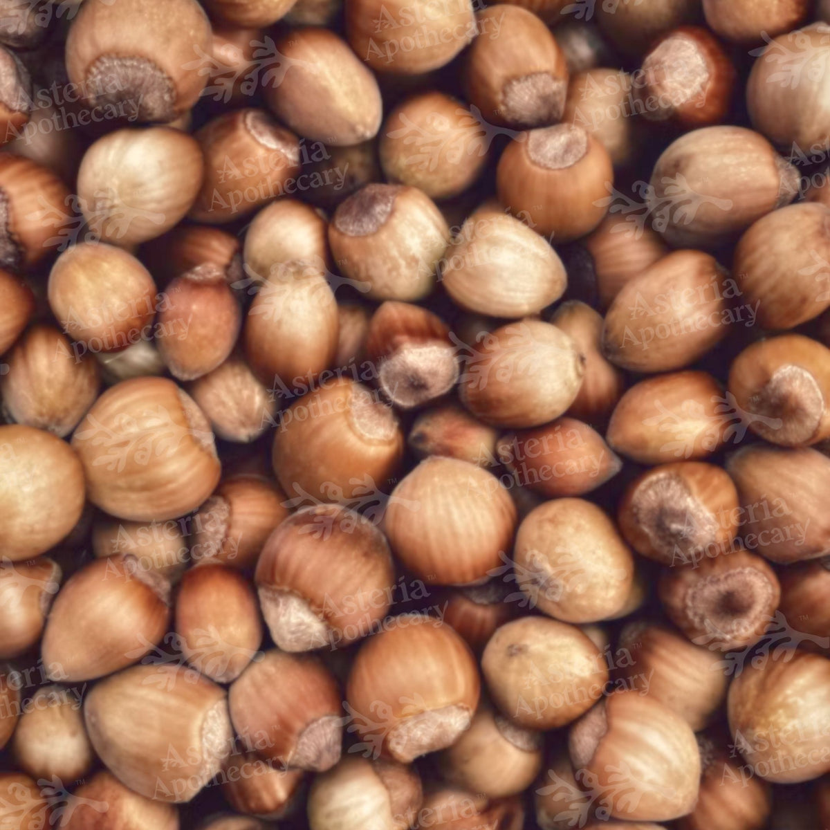 HAZELNUT OIL