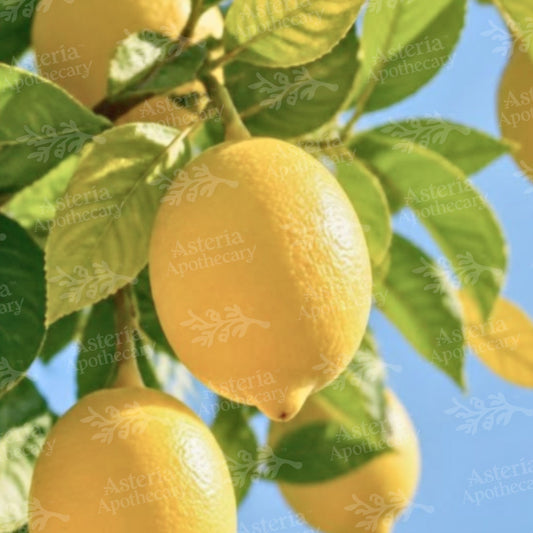 LEMON ESSENTIAL OIL | STEAM DISTILLED