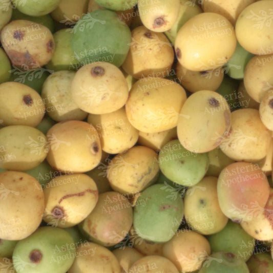 MARULA SEED OIL