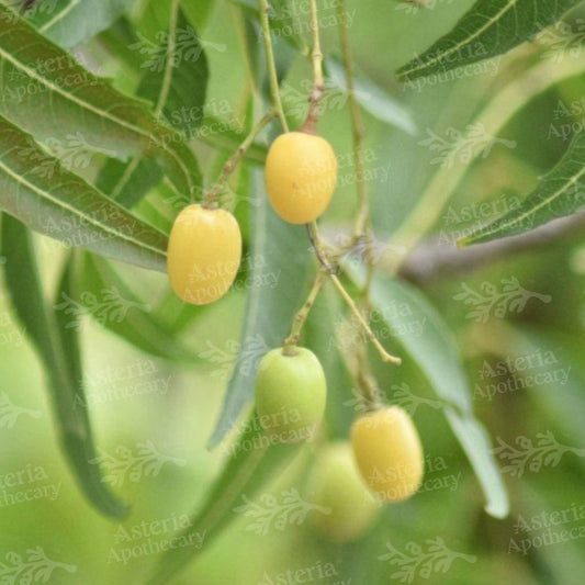 NEEM OIL