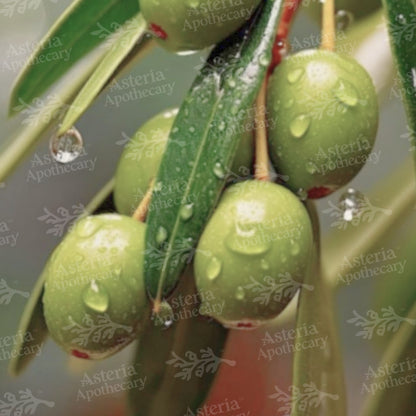 OLIVE OIL | EXTRA VIRGIN