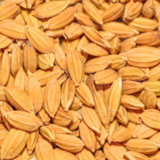 RICE BRAN OIL