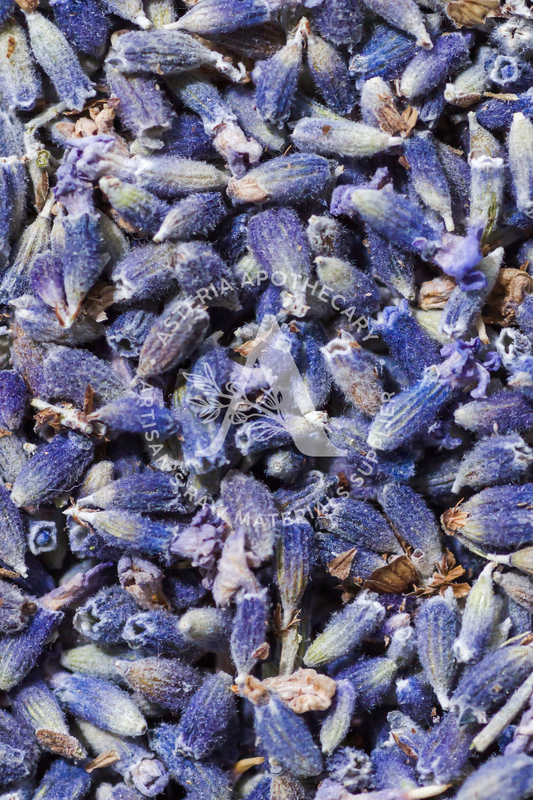 Lavender Loose Tea